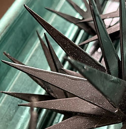 PICOS DE PROTECCIÓN PARA BARDAS