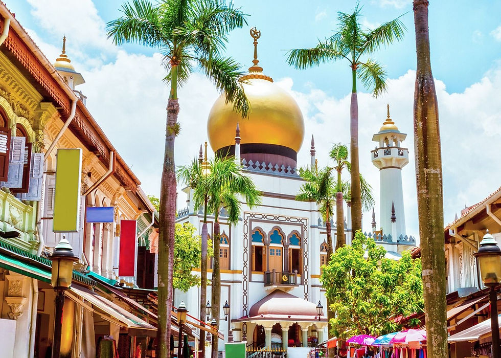 Trip ideas for Little India, Kampong Glam, Haji Lane, and Chinatown, Singapore
