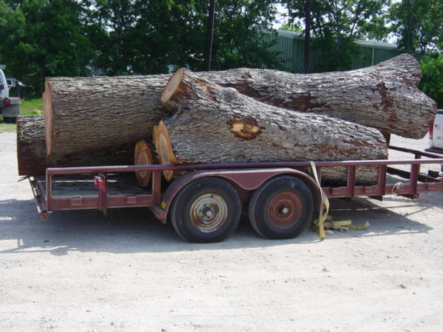 Mesquite Logs8882.JPG
