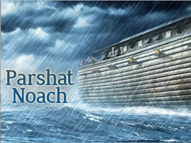 Noach.jpg