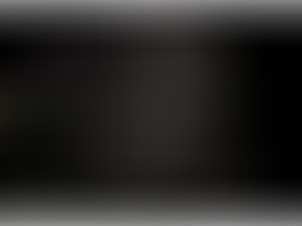 Joaquin Clausell y Dr. Alt