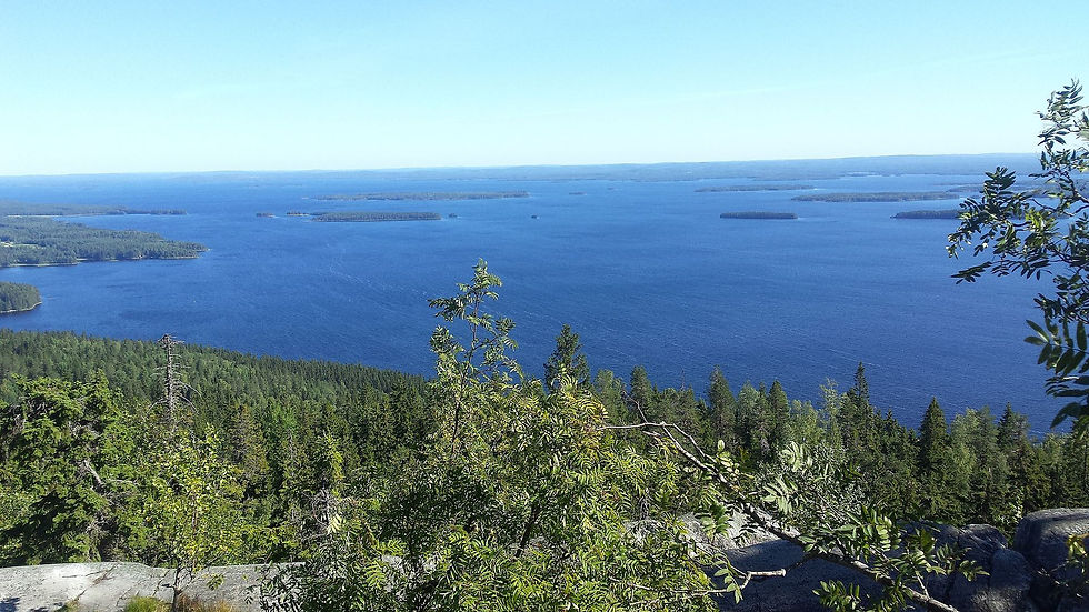 Koli_National_Park_in_Northern_Karelia