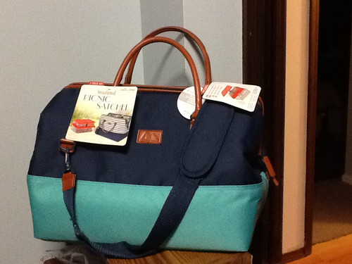 arctic zone insulated picnic satchel