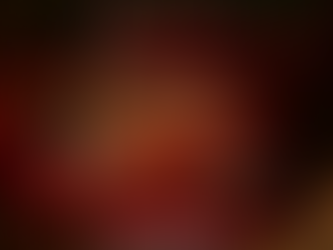 Christmas Gift Guide 2025