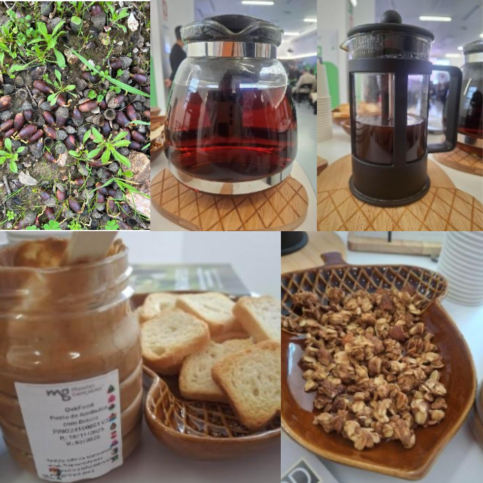 O Projeto OakFood termina