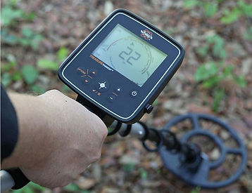 white treasure master.jpg