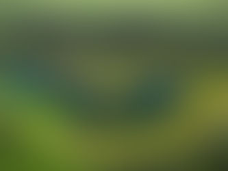 Investment land in Poland