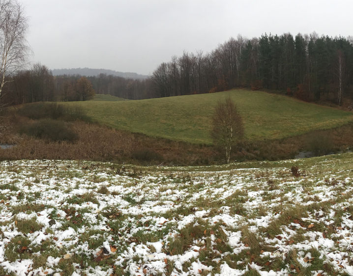 Prime building land bordered by National Nature Park in Poland.