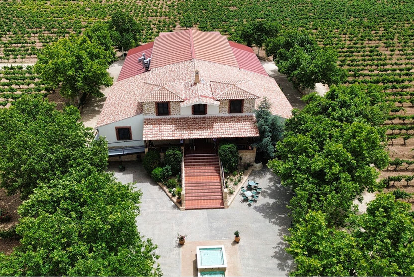 Spanish winery and vineyards for sale