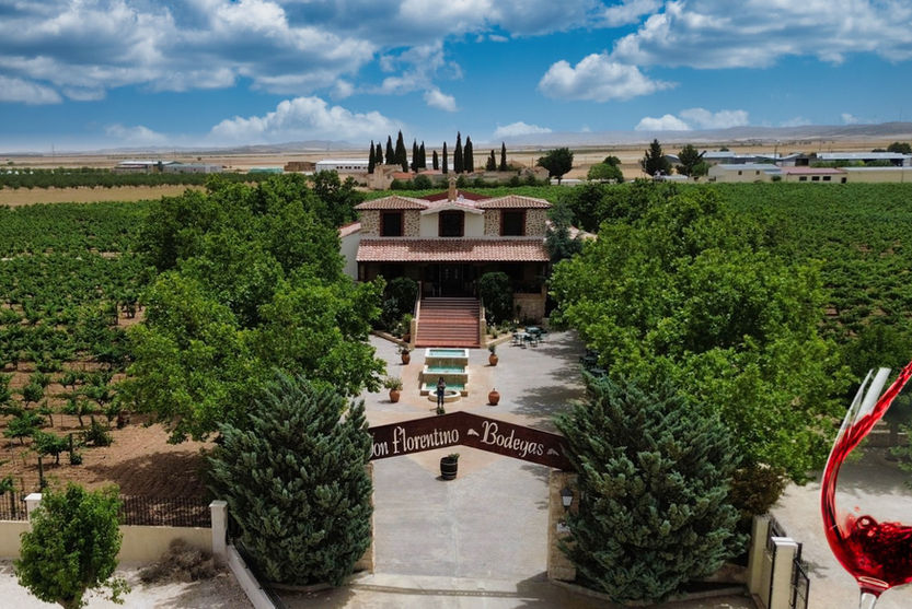 Spanish winery and vineyards for sale
