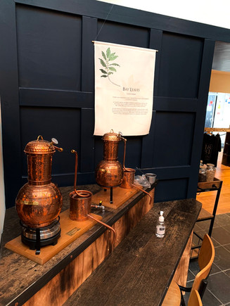 Botanical Illustrations - Peebles Hydro
