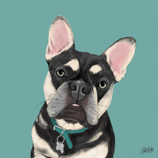 Dog Portrait