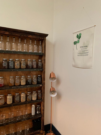 Botanical Illustrations - Peebles Hydro