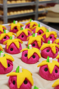 LUSH  Cosmetics Canada - Photography by Mikey Sin www.lush.ca  (23)