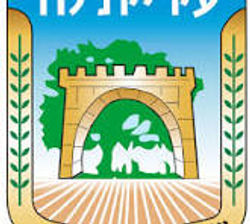 עיריית לוד