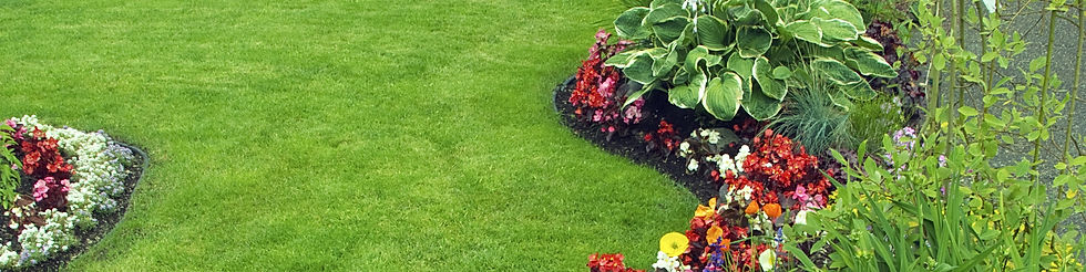 Green lawn with Summer flower beds