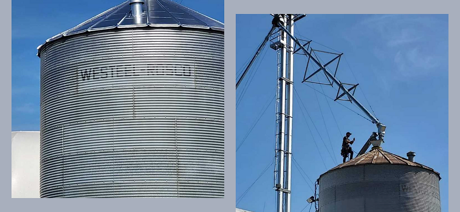 Peinture de btiment agricole