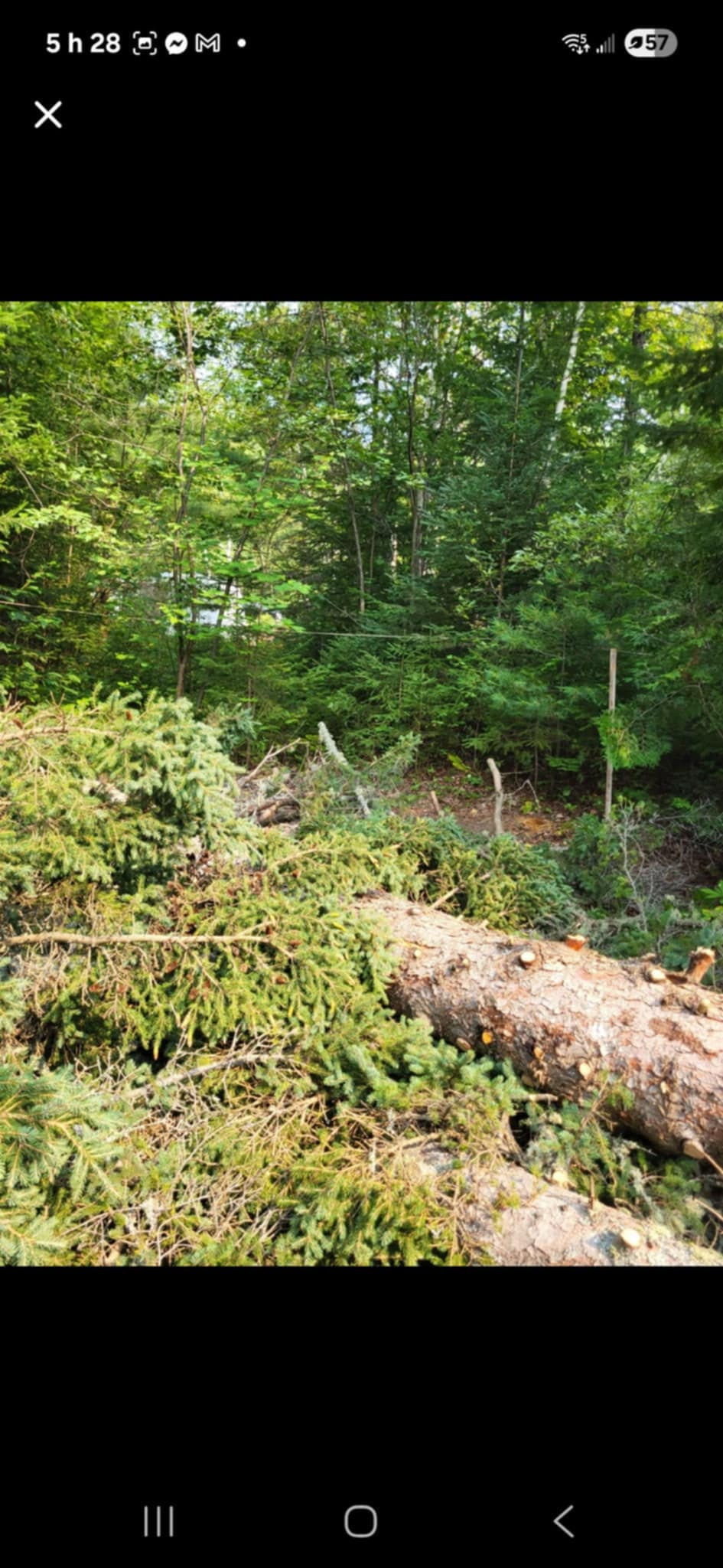 Abattage d’un arbre tombé à Sainte-Émilie-de-l’Énergie.