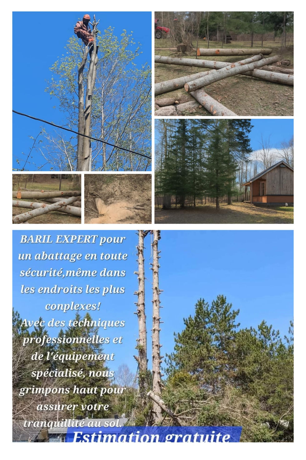 Abattage sécuritaire d’arbres dangereux en Lanaudière par Baril Expert.