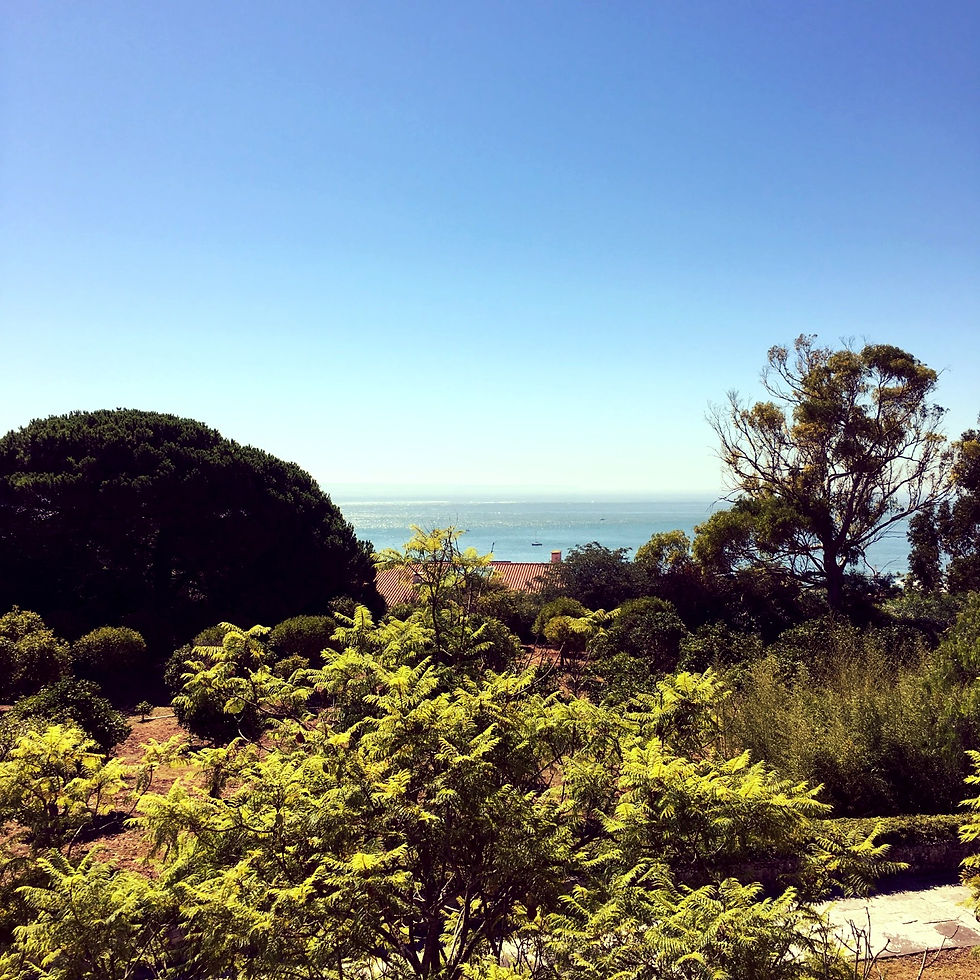 Vista para o rio Tejo