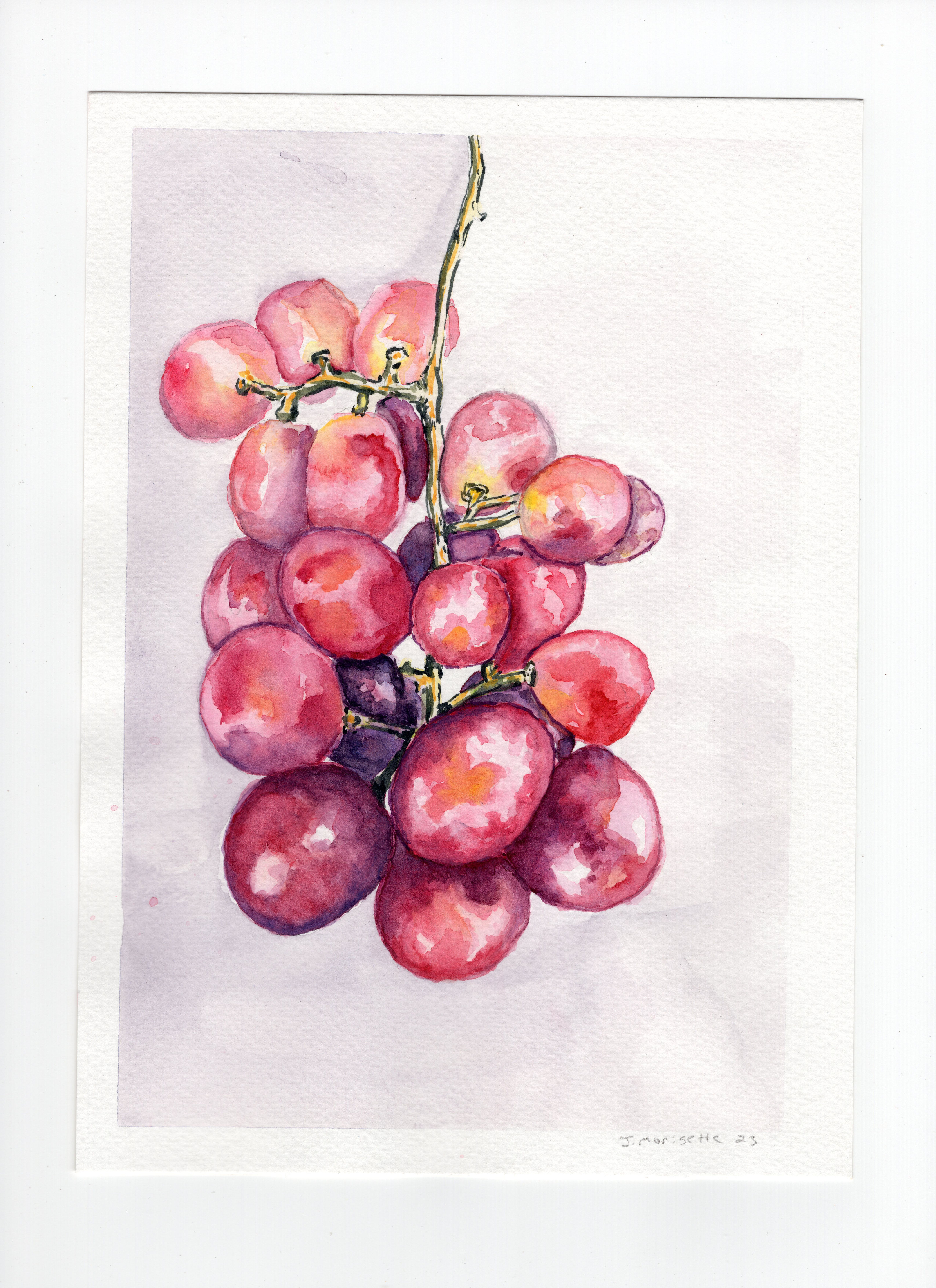 watercolor painting of purple grapes against a grey background