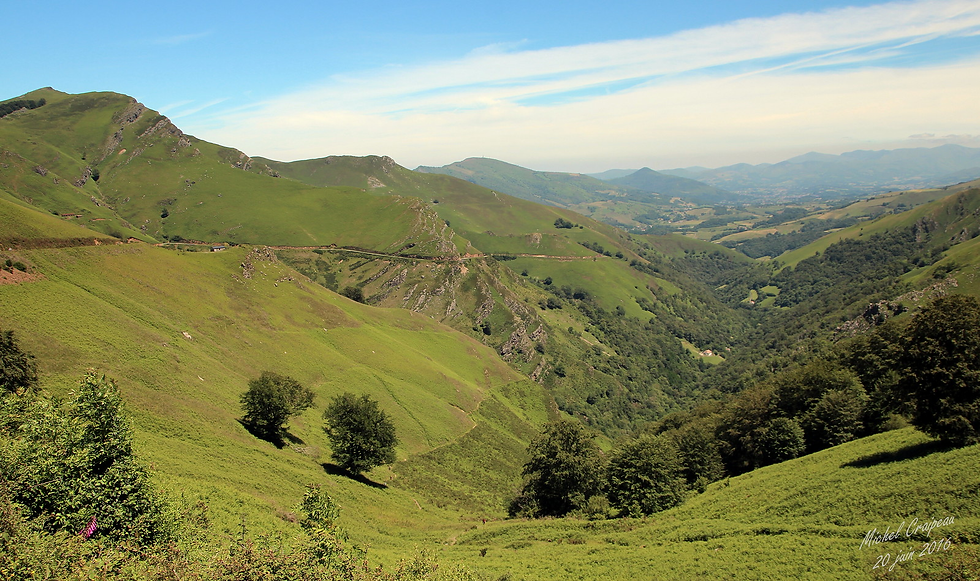 col izpegi