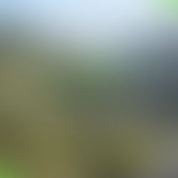 Andorre, terre de vélo