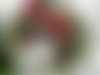 まだカーネーションの『花束』贈ってるの？今年の母の日は、壁に飾る三日月リース