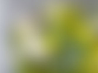 「できるかな?」から「できた!」へ