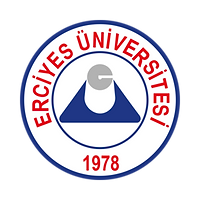 yeni-yuzil-university-logo.png