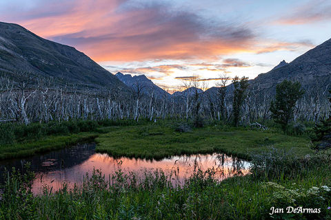 Alaska83.jpg