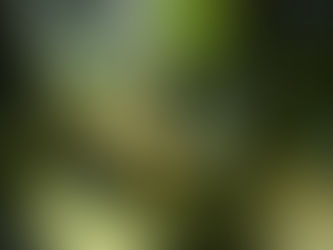 Telling Your Own Truth