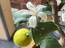 Samaritans to Close Email and Letter Services