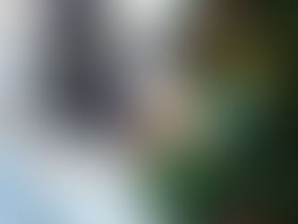 It's Flipping Christmas