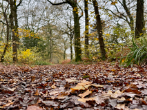 Projects, What's Next?