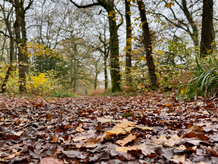 Projects, What's Next?