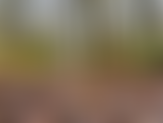 Projects, What's Next?