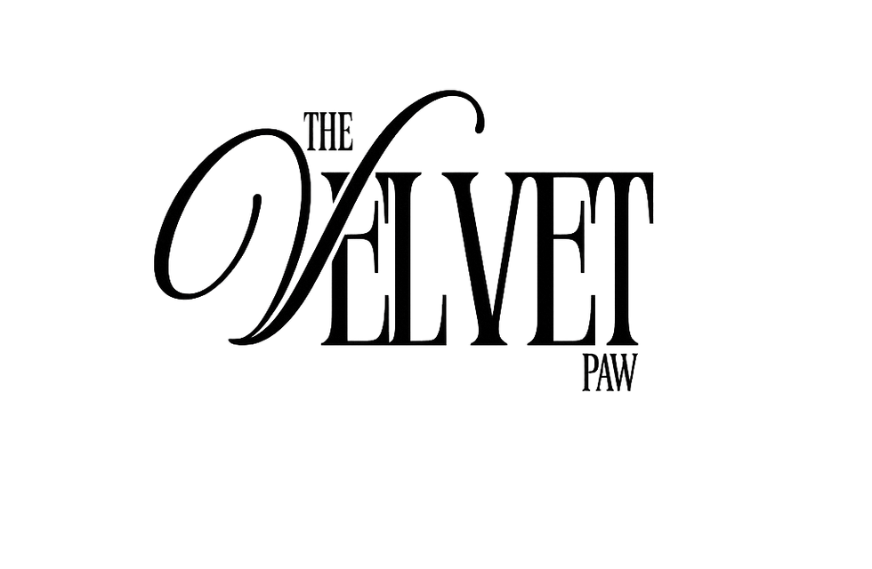 7443C073-591C-41AF-8066-A636BF5CB33A.png