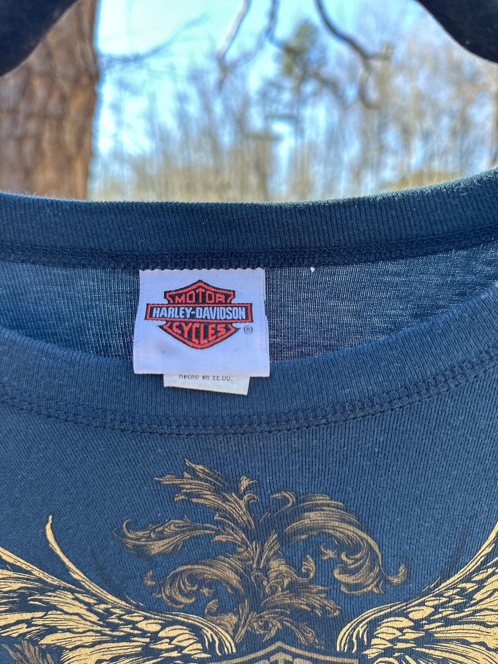 Thumbnail: 2010 Harley-Davidson Long Sleeve