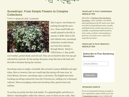 PegPlant Subscribe to a Free Gardening Newsletter it's wonderful Thank You Nancy A pegplant.com