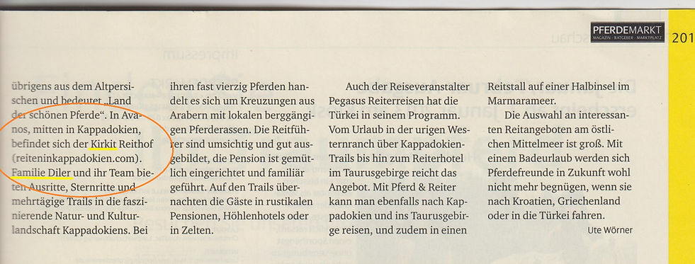 Kirkit Horse (Pferdemarkt page 4).jpg