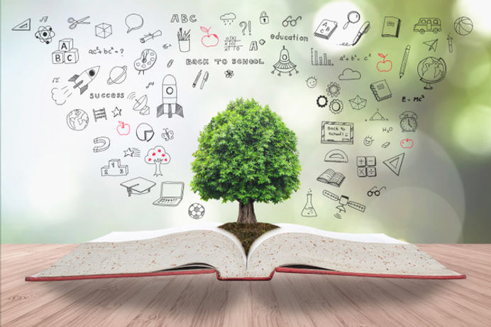 tree in book.jpeg