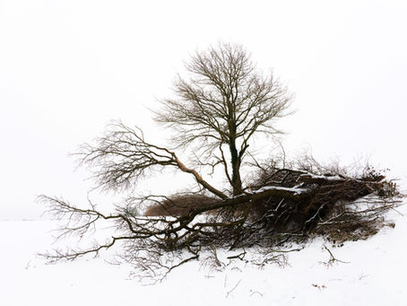 Knick im Winternebel