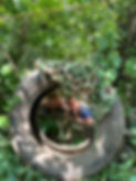 IMG-20240801-WA0012.jpg