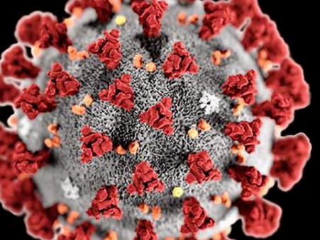 Saturday and Friday
CLIMBING OPEN AS USUAL
COVID-19 update for the wall