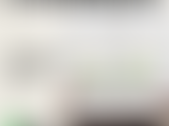 Wait, or Buy Now? that is the question...