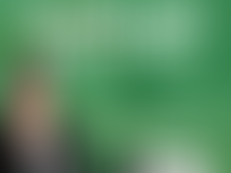 ARE HOME PRICES GOING DOWN?