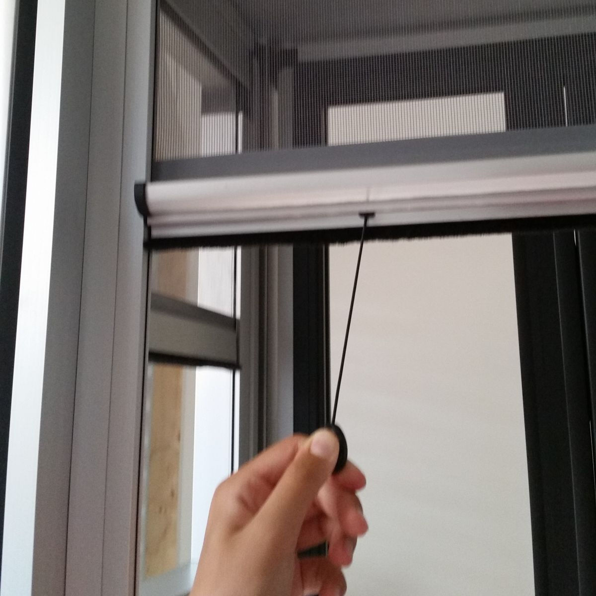Flex Saliscendi