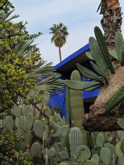 Jardin Majorelle