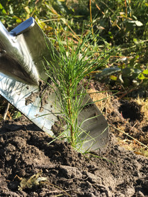 Photo 2017-08-05, 9 10 08 AM (2) (1).jpg